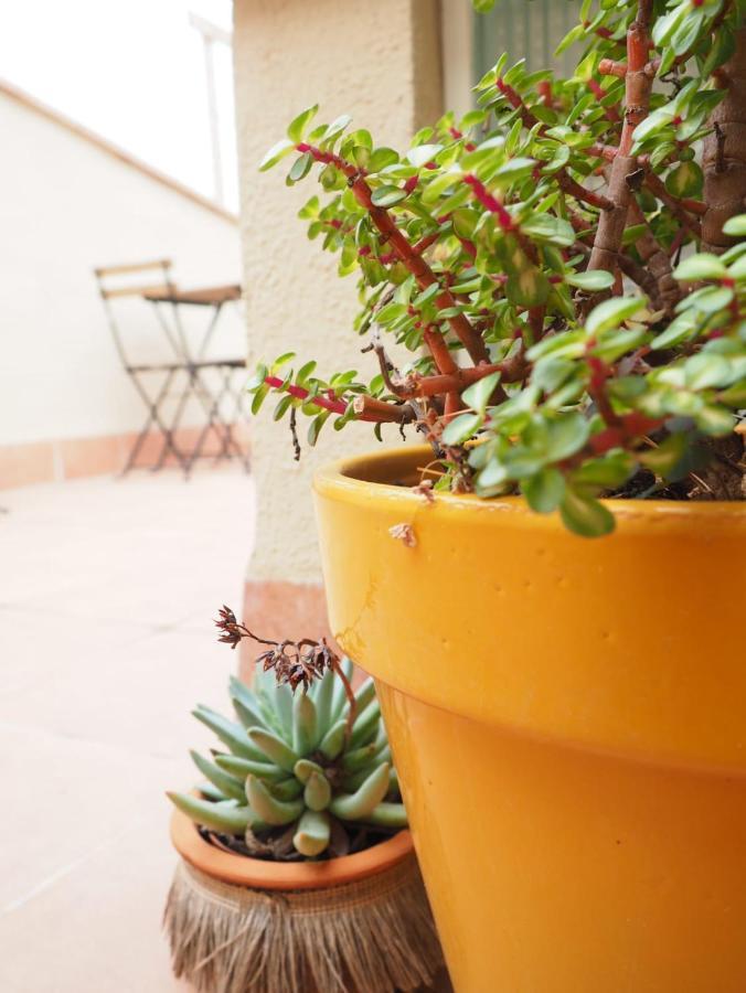 Apartaments La Rambla - Licorella - 4 Persones Cornudella de Montsant Exteriér fotografie